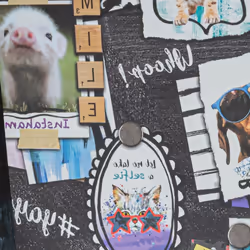 Holden Pets Gone Wild Dogs Cats Piglet Frames Hearts Rabbits Wallpaper