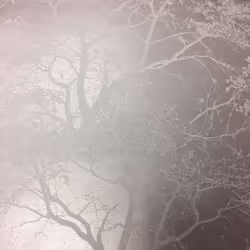 Whispering Trees Wallpaper Grey Off White Glitter Textured Sparkle Forest Holden