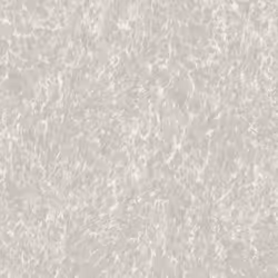Alchemy Wallpaper Collection Panthera Dove Grey Silver Holden 65870