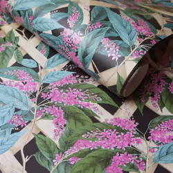 Holden Brassica Floral Leaves Bird Charcoal Pink Green Paste The Wall Wallpaper