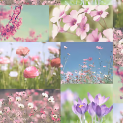 Holden Decor April Wallpaper Floral Flower Photographic Collage Heather Pink