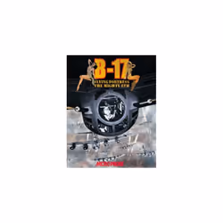 B17 Flying Fortress 2: The Mighty Eighth