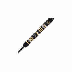 Michael Van Gerwyn MvG Trilogy 24g Gram Professional Steeltip Tungsten Darts Set with Flights and Stems (Shafts)