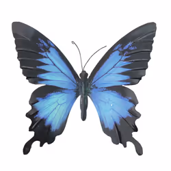Primus Large Metal Butterfly Garden Wall Art Gift - Blue and Black