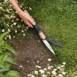 Kent & Stowe Garden Tools Secateurs Steel Blade Single Grass Shear - Additional view 5