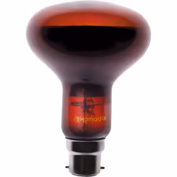 Komodo Night Spot Bulb R80 BC, 100 Watt
