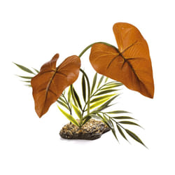 Komodo Rainforest Canopy Plant 38cm