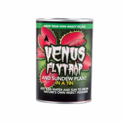 Grow Your Own Venus Fly Trap