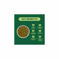 Burgess Excel Nuggets with Mint Adult Rabbit Food 3 kg