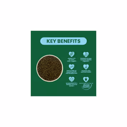 Burgess Excel Junior and Dwarf Nuggets with Mint Rabbit Food 3 kg