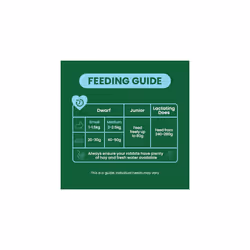 Burgess Excel Junior and Dwarf Nuggets with Mint Rabbit Food 3 kg