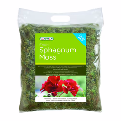 Fresh Sphagnum Moss