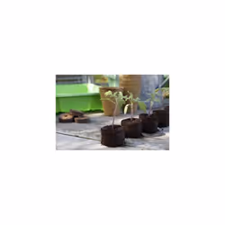 Grow It 08636 50 Peat Free Compost Discs