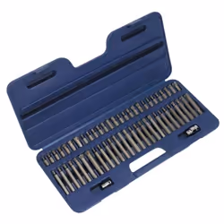 SEALEY AK21956 Screwdriver Bit Set Plastic Case 56