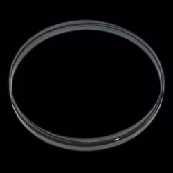 Bandsaw Blade 2240 x 12 x 0.6mm 6tpi
