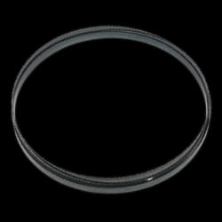 Bandsaw Blade 2400 x 12 x 0.6mm 6tpi