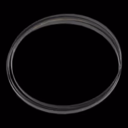 Bandsaw Blade 2400 x 12 x 0.6mm 10tpi