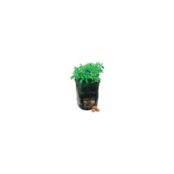 Silverline Potato Planting Bag 360 x 510mm -  potato planting bag gardening 360 x silverline 510mm planter