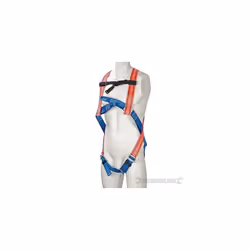 Silverline Fall Arrest Harness 2-point