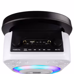 8-Watt Rechargeable Bluetooth Karaoke Machine with Two Microphones, Voice Changing Effects & LED Lights - Black