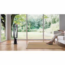 Dyson Cool Silver, White