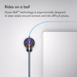Dyson Big Ball Animal 2 1.5 L Cylinder vacuum Dry Bagless - Additional view 5