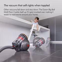 Dyson Big Ball Animal 2 1.5 L Cylinder vacuum Dry Bagless - Additional view 6