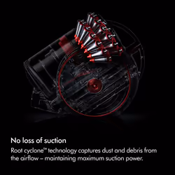 Dyson Big Ball Multifloor 2 Cylinder vacuum Dry Bagless - Additional view 4