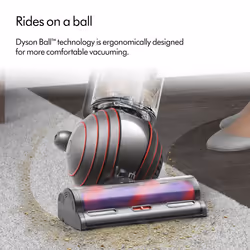 Dyson Ball Animal Origin Upright vacuum AC Dry Bagless 1.3 L Nickel, Silver - Additional view 4
