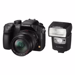 Panasonic DMW-FL360LE camera flash Black