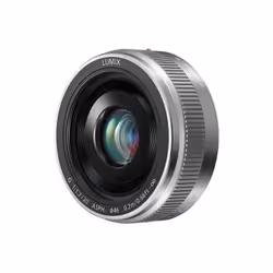 Panasonic H-H020AE-S camera lens Camcorder Silver