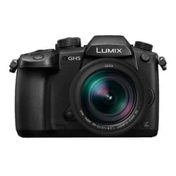 Panasonic Lumix DMC-GH5 + Leica 12-60mm F2.8-F4.0 MILC 20.3 MP Live MOS 5184 x 3888 pixels Black