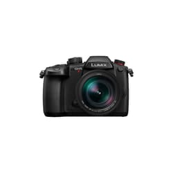Panasonic Lumix GH5M2 + Leica ES12060 SLR Camera Kit 20.33 MP Live MOS 5184 x 3888 pixels Black