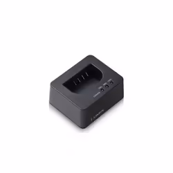 Panasonic DMW-BTC15EB, Lithium-Ion (Li-Ion)