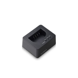 Panasonic DMW-BTC15EB battery charger Digital camera battery AC, USB