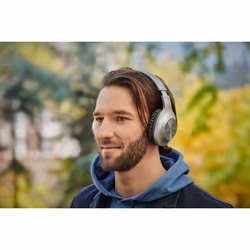 Panasonic RB-HX220B Headset Wireless Head-band Calls/Music USB Type-C Bluetooth Silver