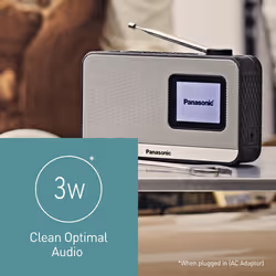 Panasonic RF-D15 Portable Digital Black, Silver