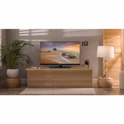 Panasonic TS-24N30AEZ TV 61 cm (24") HD Black - Additional view 4