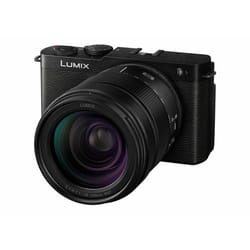Panasonic Lumix S9 + 28-200mm F4-7 Compact camera 24.2 MP CMOS 12000 x 8000 pixels Black