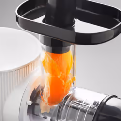 Quest 150W Slow Juicers / Cold Press Masticating Juicer / Quiet - White