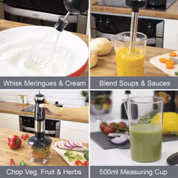 Quest 35099 3 in 1 Stick Blender / Variable Speeds, Turbo Pulse - Black