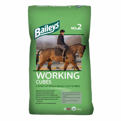Baileys No.2 Working Horse & Pony Cubes 20kg