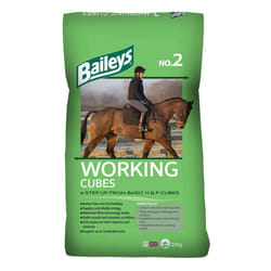 Baileys No.2 Working Horse & Pony Cubes 20kg