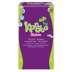 Kandoo Melon Flushable Moist Toilet Tissues, 4 x 60 Wipes (Total 240 wipes), Biodegradable and Plastic Free, Toilet Training Wet Toilet Tissues, Melon