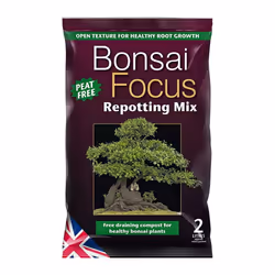 Bonsai Focus Repotting Mix Peat Free Plant Soil Garden Growth Technology 3L Bag