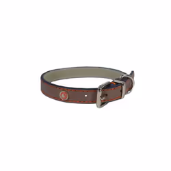 Rosewood Luxury Leather Dog Collar 10 - 14-inch, Brown