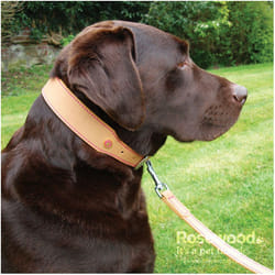 Rosewood Luxury Leather Dog Collar 18 - 22-inch, Tan