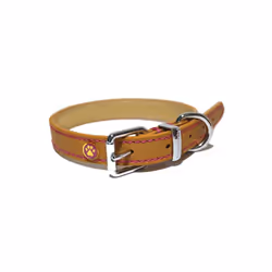 Rosewood Luxury Leather Dog Collar 22 - 26-inch, Tan