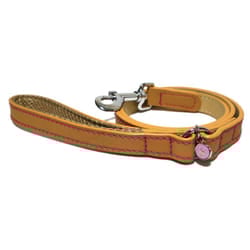 Luxury Leather Lead Tan 3/4'' X 40''