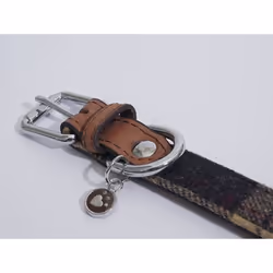 Rosewood Luxury Leather Dog Collar 12 - 16-inch, Tweed Check